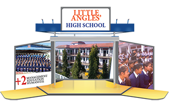 Little Angles’ High School