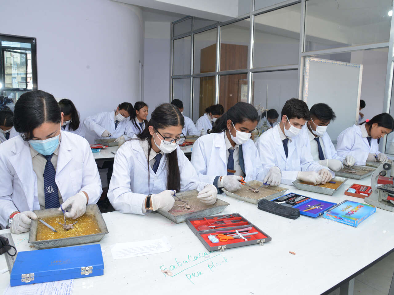 Reliance International Academy